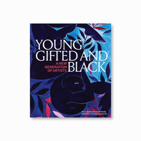 Young, Gifted and Black: A New Generation of Artists: The Lumpkin-Boccuzzi Family Collection of Contemporary Art Hardcover – 17 Aug. 2020