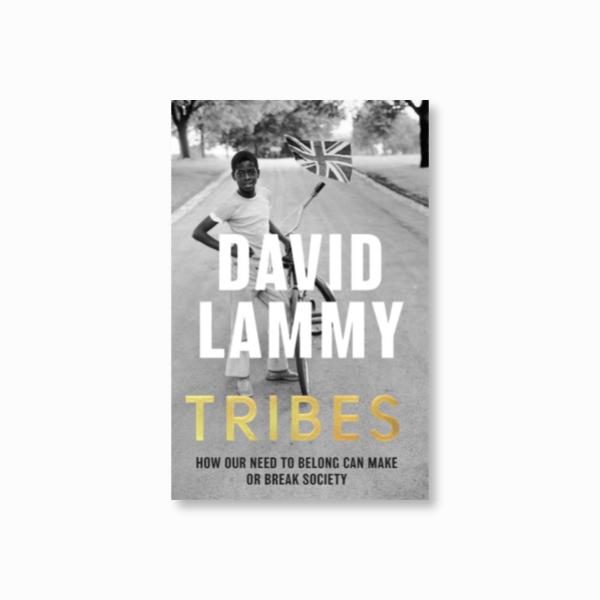 Tribes : A Search for Belonging in a Divided Society, Paperback